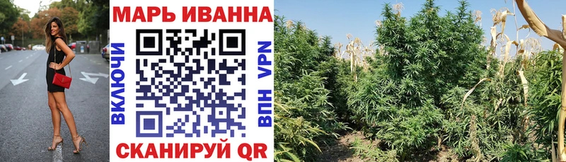 Бошки марихуана ГИДРОПОН  Губкинский 